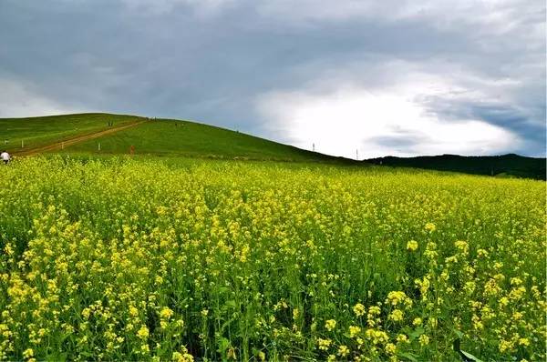l呦一区 我非常乐意为你提供帮助