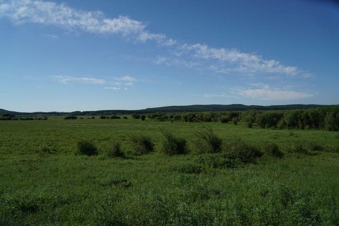 国产av无码专区亚洲精品