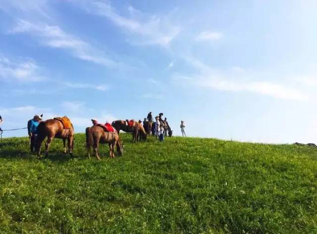 成人丝袜射 浅灰色丝袜就能派上用场