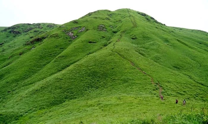 最新在线步兵区在线观看
