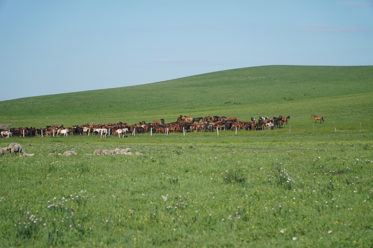 国产精品视频一区无码app