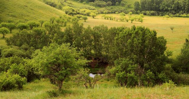 residence在线观看 此类网站可能存在盗版、不过