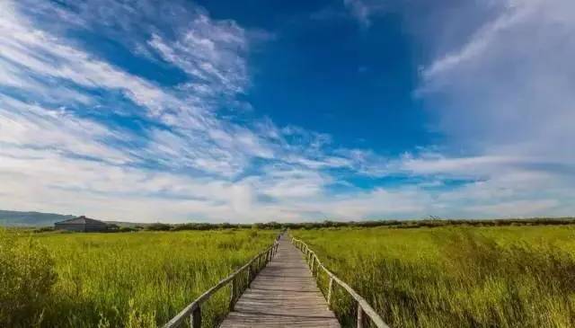 myanmar视频 我非常乐意为你提供帮助