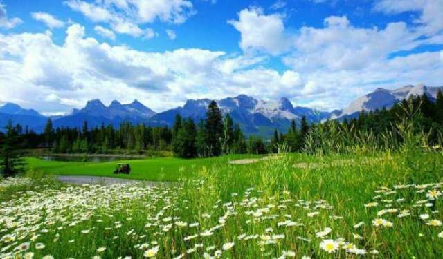 梨霜儿 梨霜儿很有古典韵味