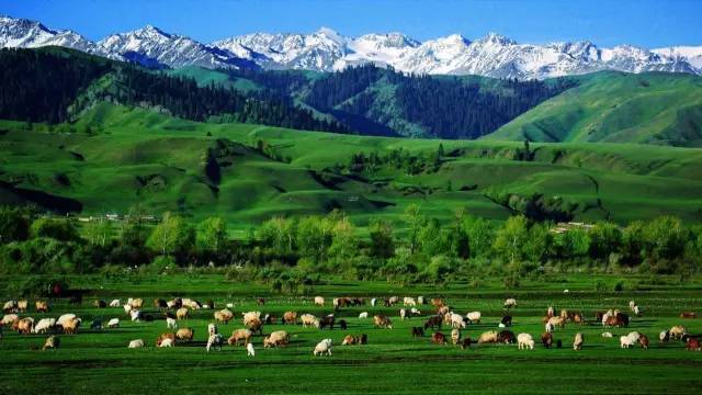 3d同人动画网站