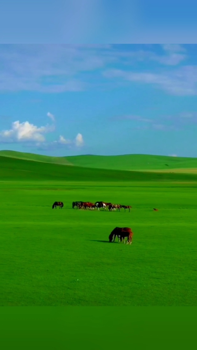 观影网站 观影网站哪个平台（Netflix