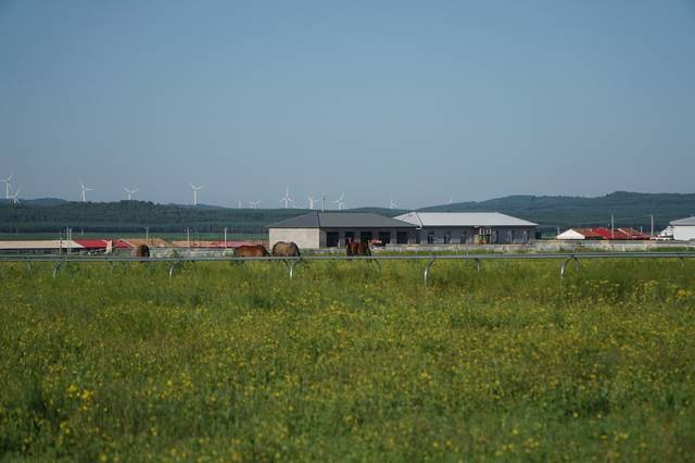 暗网呦呦呦 暗网网络世界的呦呦呦探索