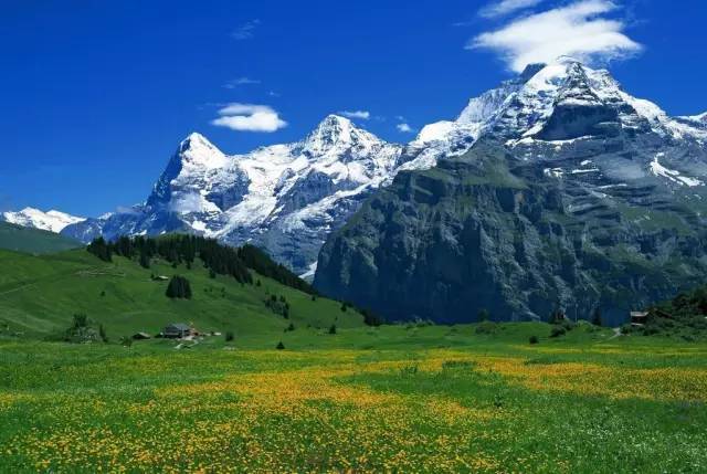 91 九色吃瓜 色吃瓜文化轶事等多个维度