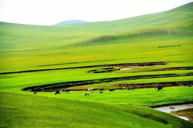 2020三级理论电影