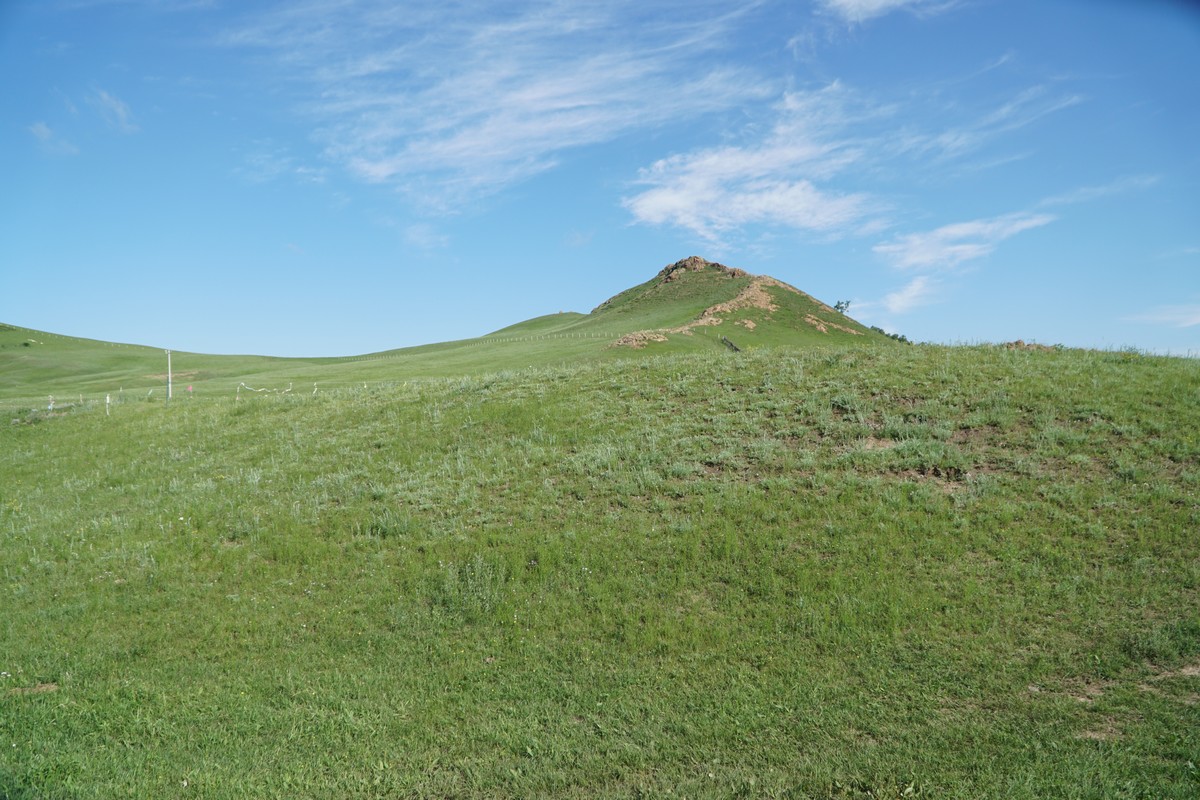 2020三级理论电影 柏林、论电关注社会底层