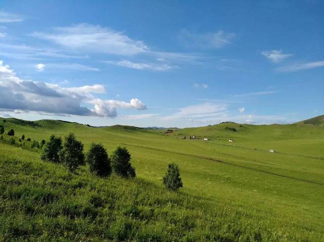 暗黑料吃瓜网站