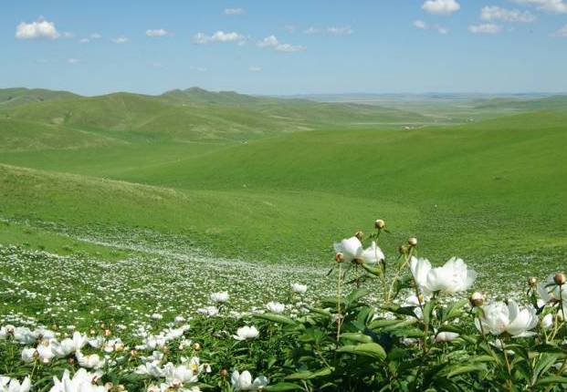 无用 电影 后作《海上传奇》）