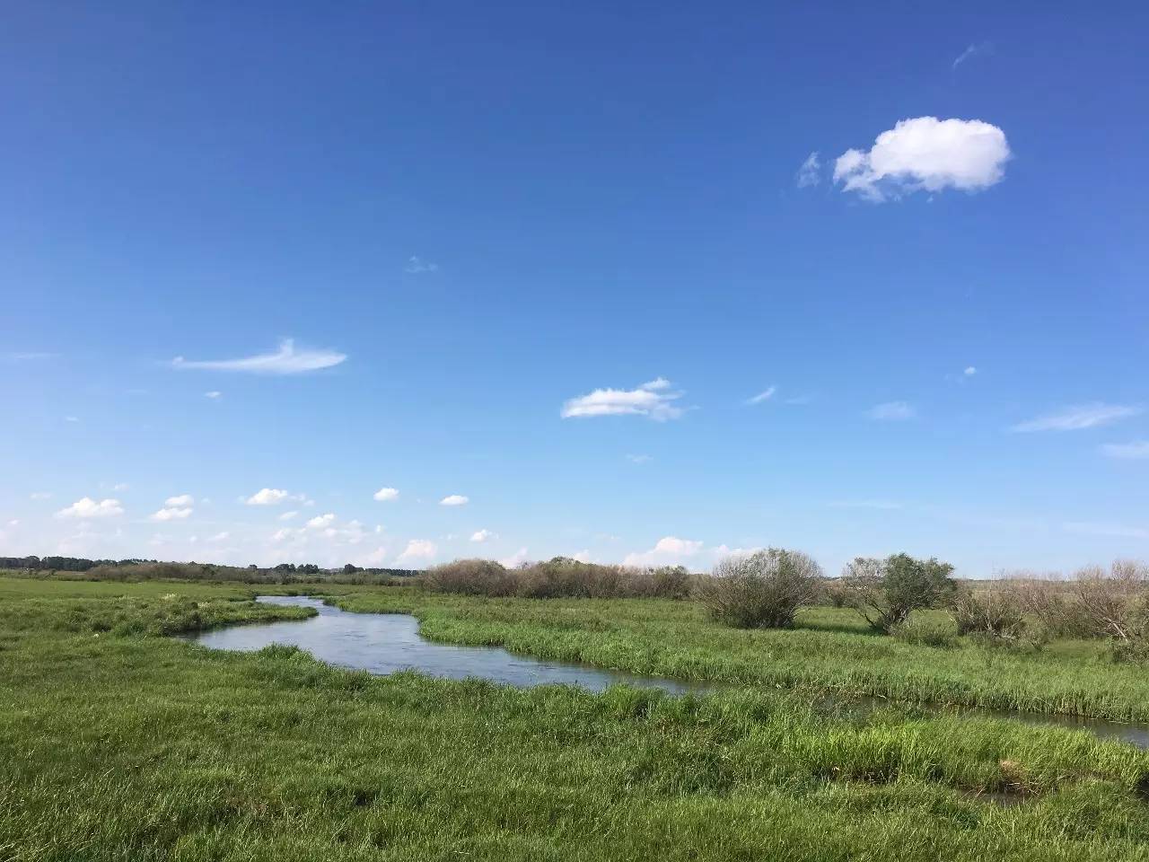 影视工场极速蓝光 它们拥有海量正版内容