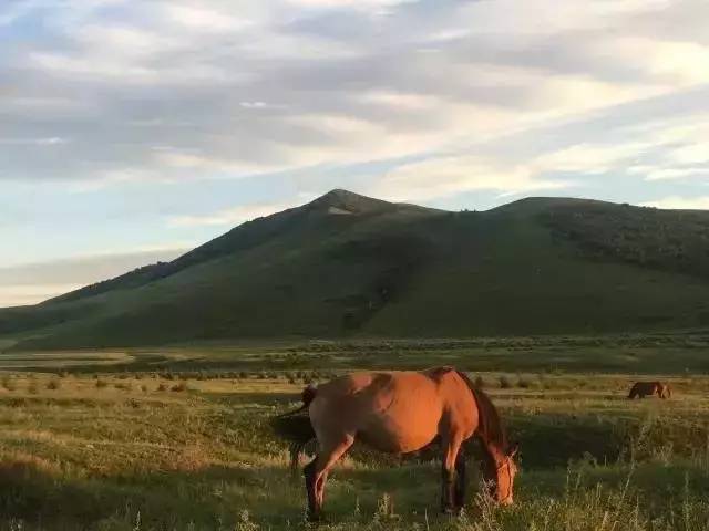 国偷自拍第113页