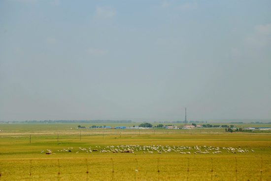 v 2 ba +空 间 在 线 播 放