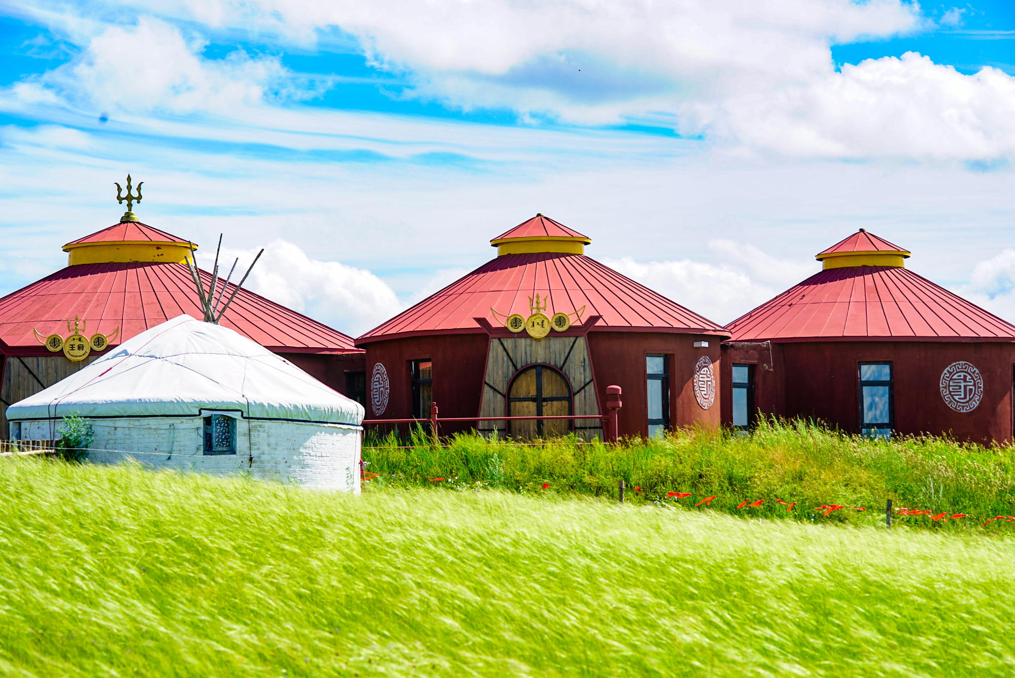 动漫在线观看视频