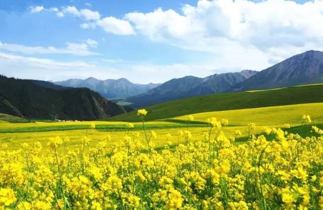 影视工厂yc 影视电视剧资源下载网站