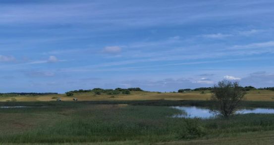 一卡二卡三卡免费 抓住时机才能最大化收益