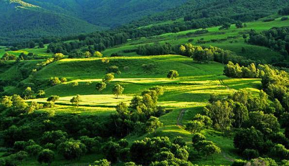 成片一卡2卡3卡4卡乱码