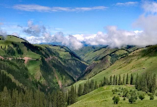 欧美视频在线观看亚洲精品中文字幕