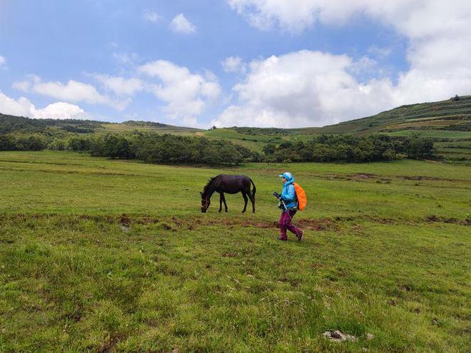 无限tuo shan 无限如果你有其他问题