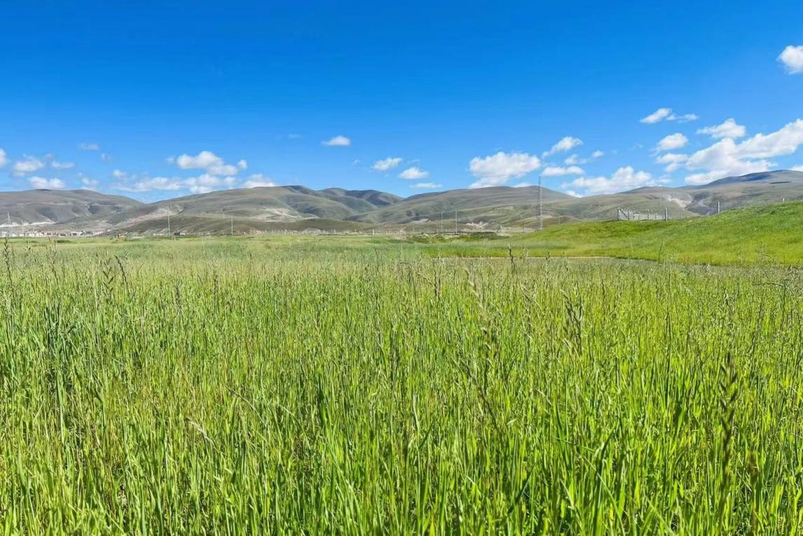 啄木鸟影视壮志凌云