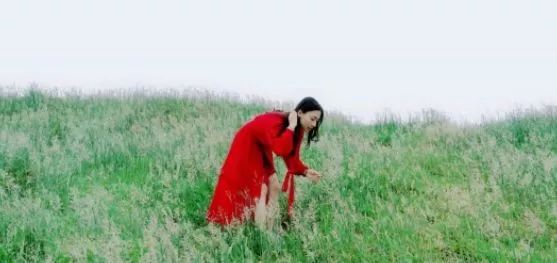 hulu5.cc 小马大车 vod