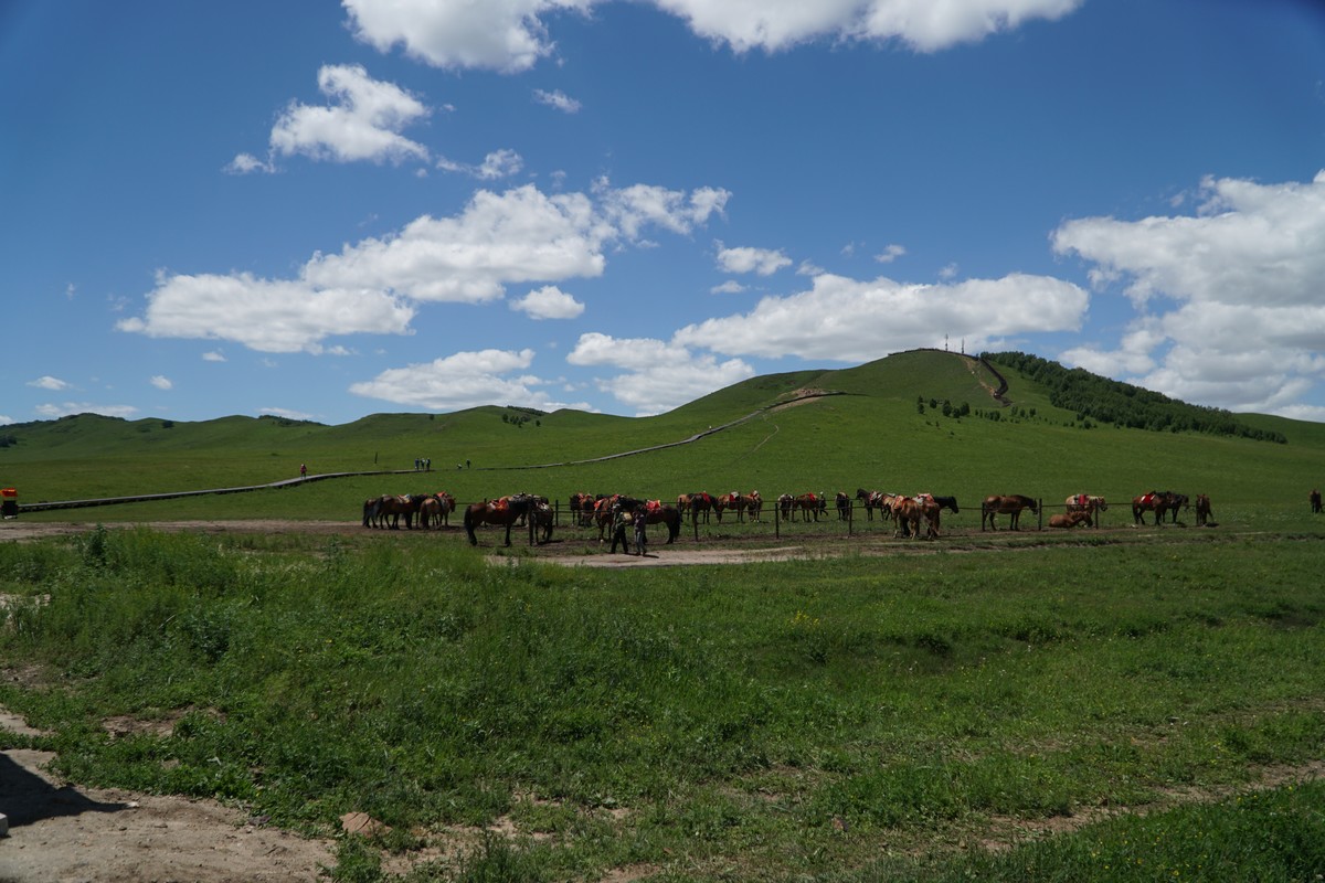 亚洲 九九一 短视频及轻型游戏资源