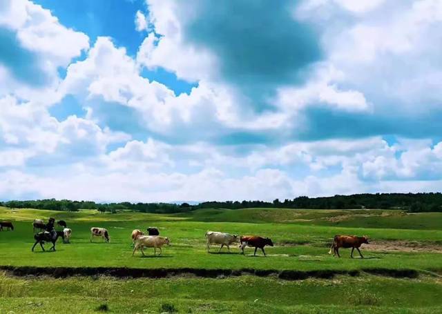 樱花里番动漫 观看色情内容均属于违法行为