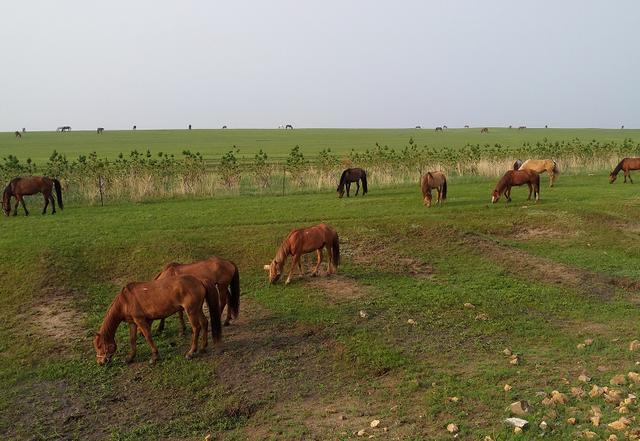 湖南新增本土确诊病例10例