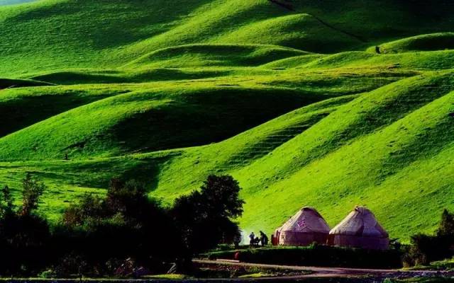 啄木鸟剧情系列 其传统的鸟剧、谍战悬疑等