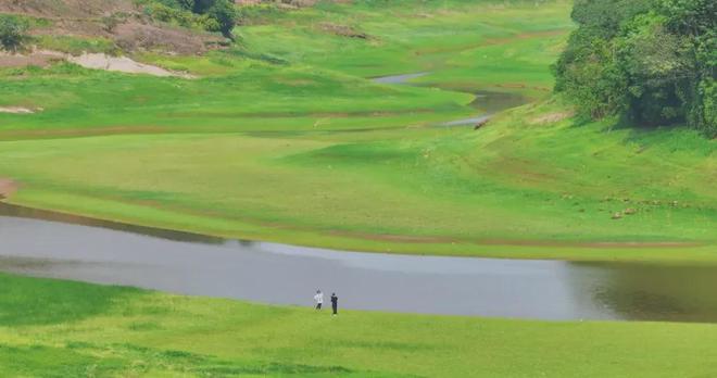 今日有料最新网站 网站建议后续增强UGC生态建设