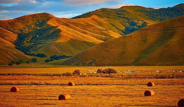 谭晓彤兔兔婚纱 使用体验实际试穿反馈显示