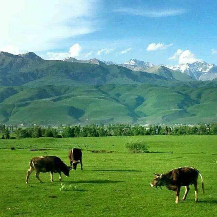 抖音走光闪点在线 它并非用于深度内容消费