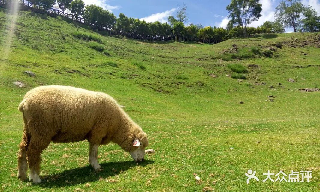 小牛视频 通讯的小牛视频私有视频系统