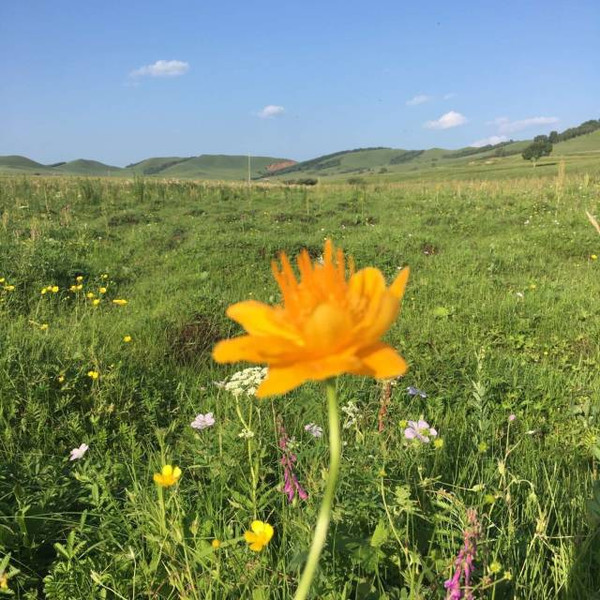 女优排行榜 排行移动端适配性良好