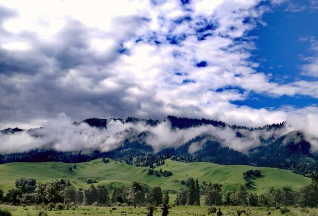 3d动漫全集 我理解你在寻找3D动画作品