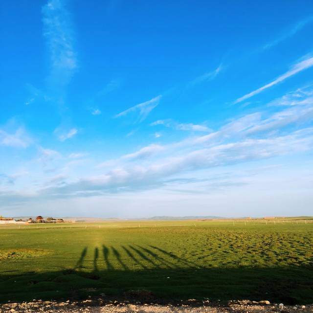楪可怜电影在线观看 实现了“一站式”观看