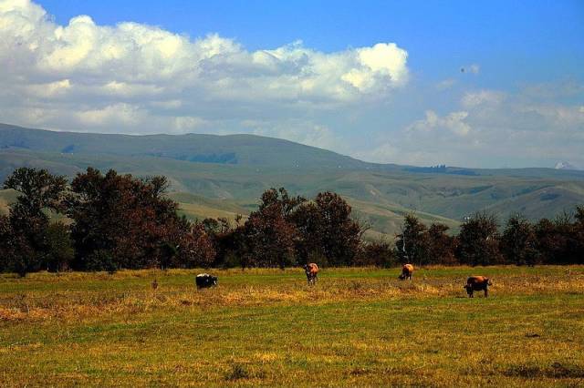 国内精品视频一区 我非常乐意为你提供帮助