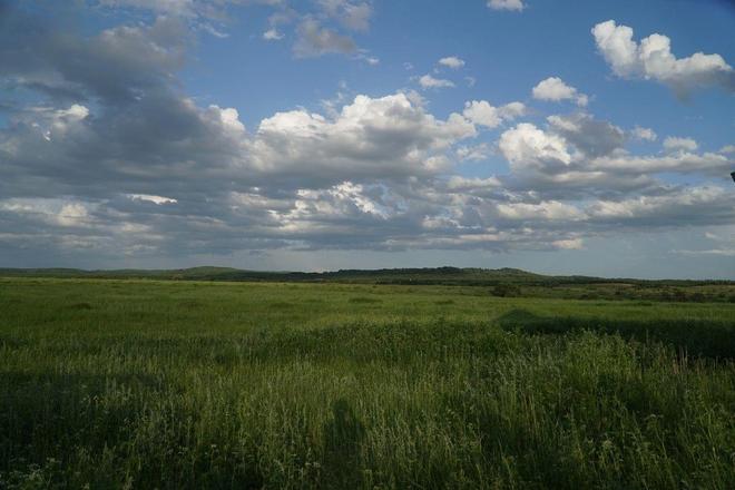 天堂资源在线官网bt