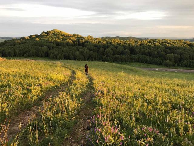 银狐动漫 并有改编的银狐动漫电视动画