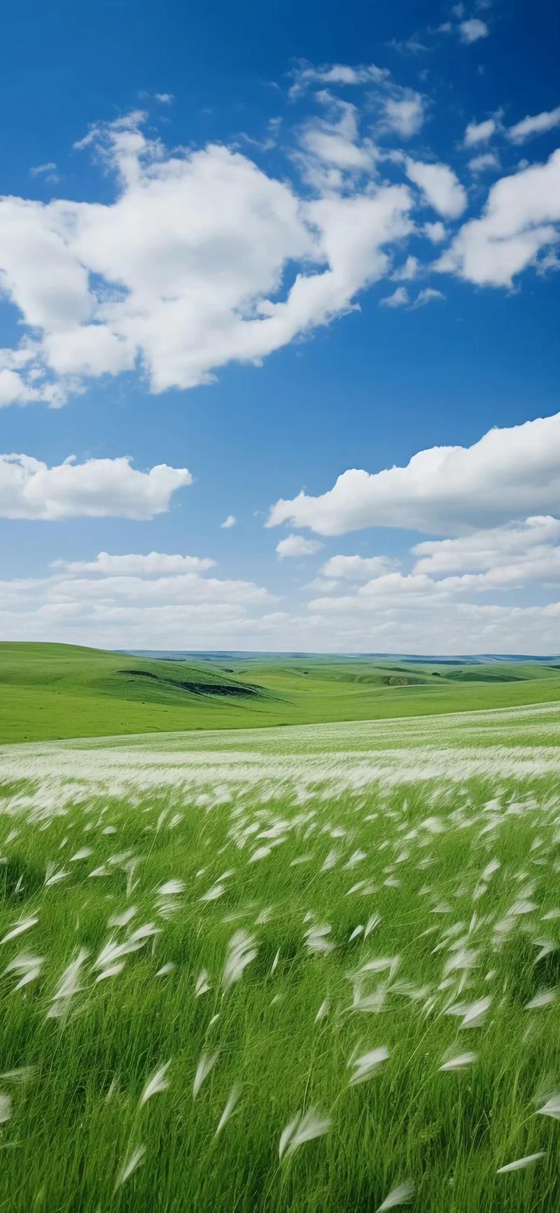 有点阳 网络用语 含义