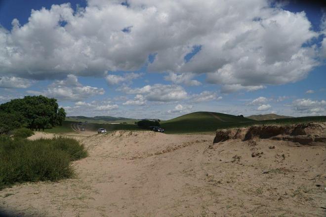 有点阳 网络用语 含义 “阳康”：指感染后康复的人