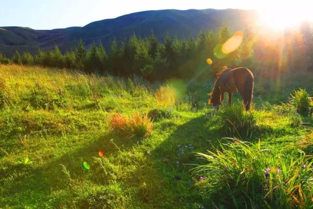 海盐甜菠萝b站 您也可以在这些平台搜索