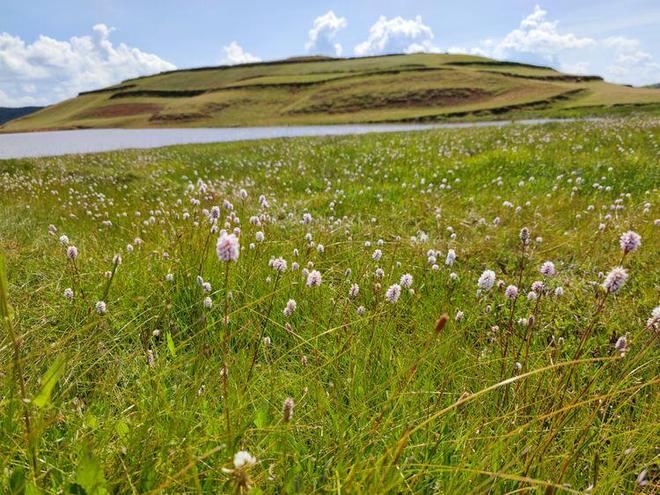 久久人人爽人人爽人人AV京东热 人人人爽人人热觉得特别贴切