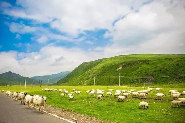 小蓝彩虹成人 .com