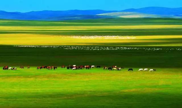 蓝导航永久发布页