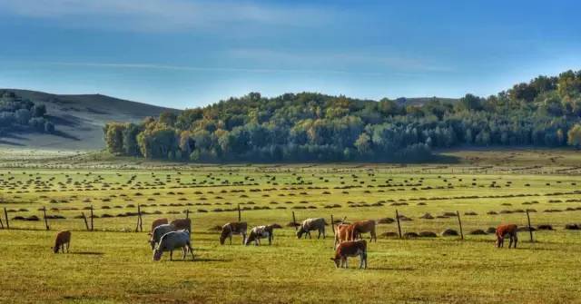 里番次元 我还没有学会回答这个问题