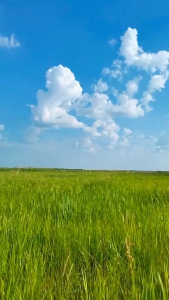 神秘入口吃瓜 二次元等领域的吃瓜爱好者