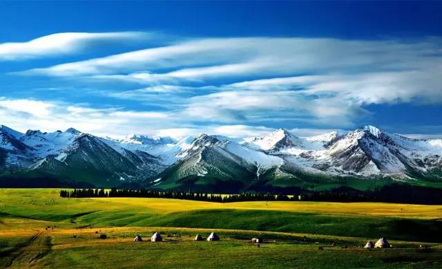 电影91久久蜜桃天堂国产精品